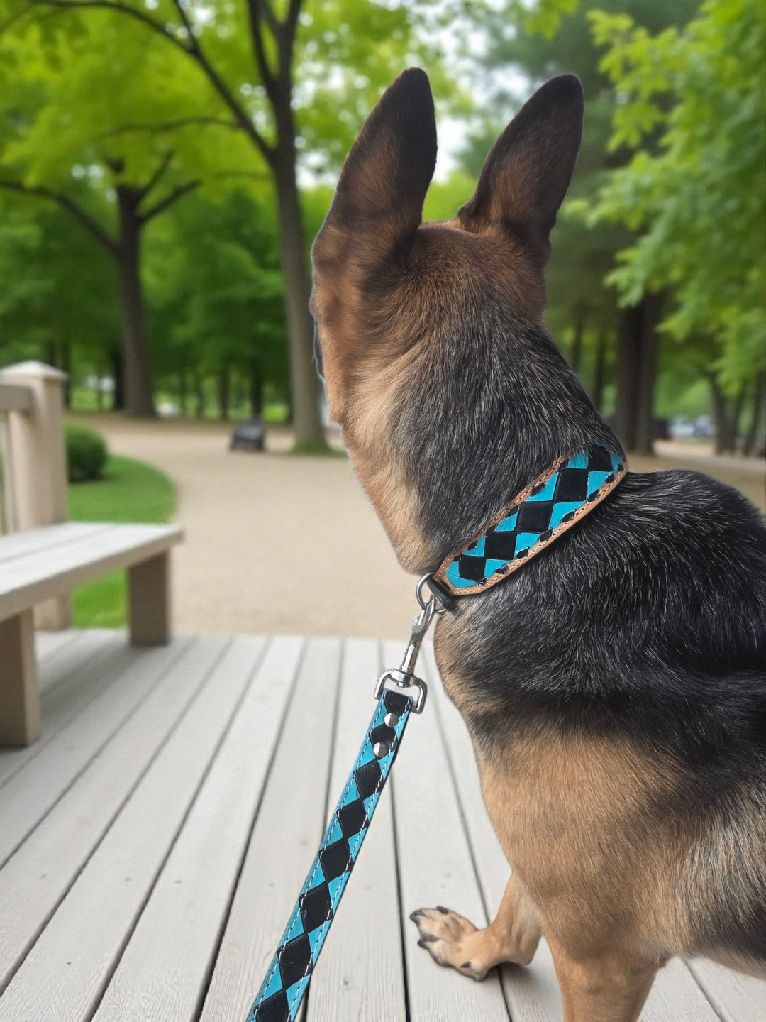 The Diamond | Tooled Leather Dog Collar + Leash Set
